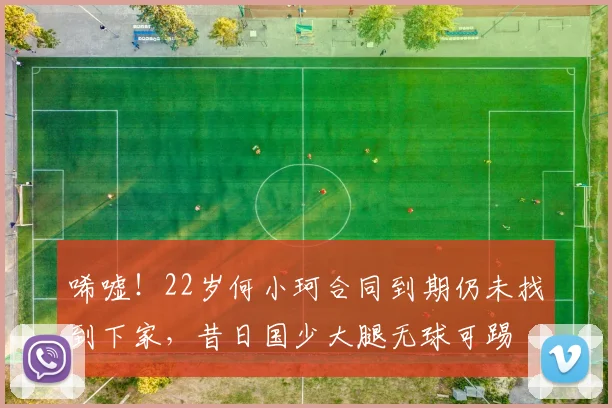 唏嘘！22岁何小珂合同到期仍未找到下家，昔日国少大腿无球可踢